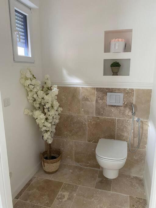 Hortillonne Apartment Amiens Bagian luar foto